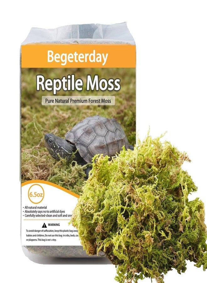 Begeterday 6.5oz Pure Natural Reptile Moss for Humidity, Great for Snakes, Turtle and Other Reptiles, Good for Terrariums for Reptiles & Amphibians - Image 1